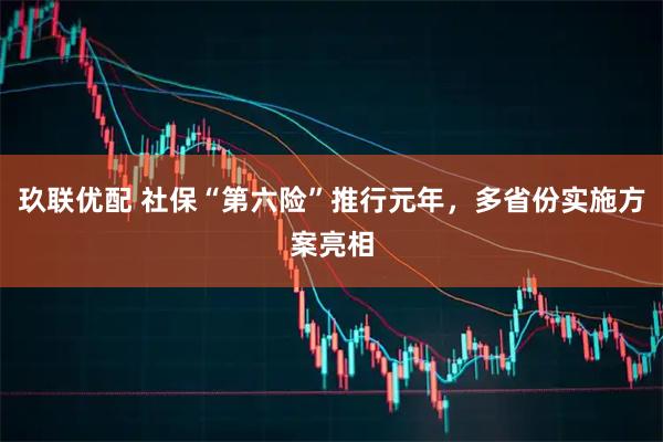 玖联优配 社保“第六险”推行元年，多省份实施方案亮相