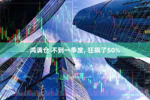 鸿满仓 不到一季度, 狂飙了50%