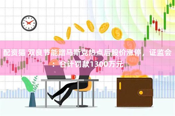 配资猫 双良节能蹭马斯克热点后股价涨停，证监会：合计罚款1300万元
