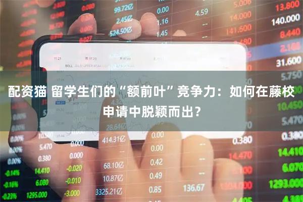 配资猫 留学生们的“额前叶”竞争力：如何在藤校申请中脱颖而出？