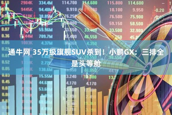 通牛网 35万级旗舰SUV杀到！小鹏GX：三排全是头等舱