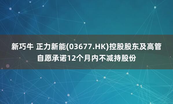 新巧牛 正力新能(03677.HK)控股股东及高管自愿承诺12个月内不减持股份