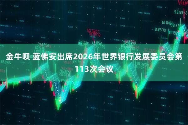 金牛呗 蓝佛安出席2026年世界银行发展委员会第113次会议