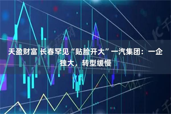 天盈财富 长春罕见“贴脸开大”一汽集团：一企独大，转型缓慢