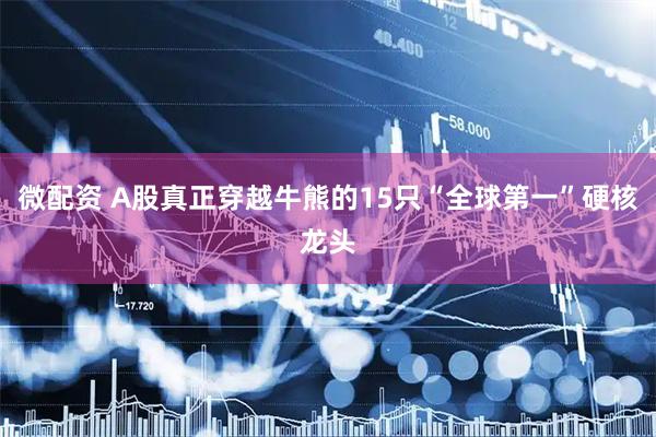 微配资 A股真正穿越牛熊的15只“全球第一”硬核龙头