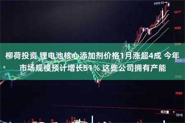 柳荷投资 锂电池核心添加剂价格1月涨超4成 今年市场规模预计增长51% 这些公司拥有产能