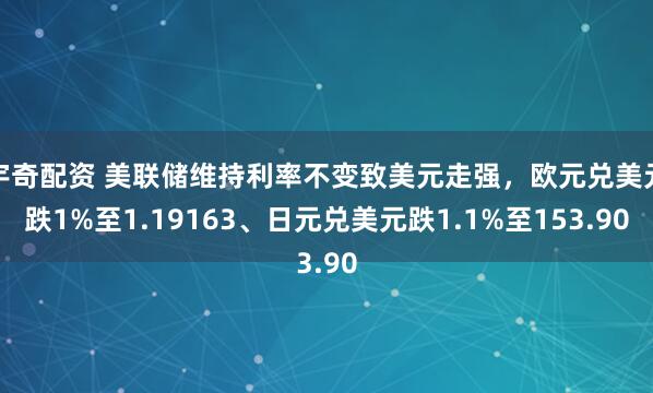 宇奇配资 美联储维持利率不变致美元走强，欧元兑美元跌1%至1.19163、日元兑美元跌1.1%至153.90