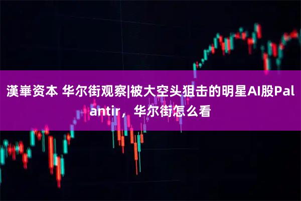 漢崋资本 华尔街观察|被大空头狙击的明星AI股Palantir，华尔街怎么看