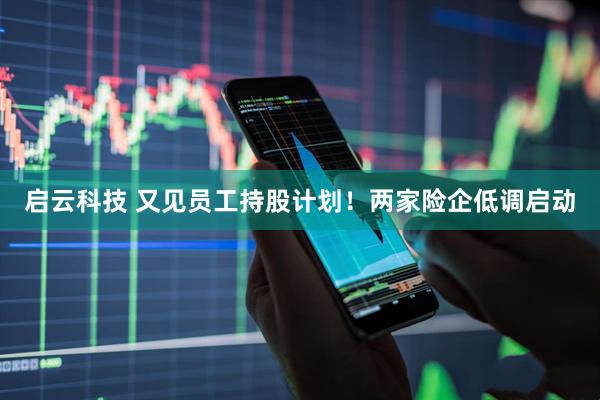 启云科技 又见员工持股计划！两家险企低调启动