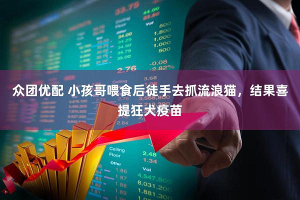 众团优配 小孩哥喂食后徒手去抓流浪猫，结果喜提狂犬疫苗