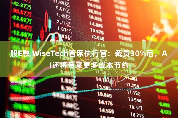 股E融 WiseTech首席执行官：裁员30%后，AI还将带来更多成本节约