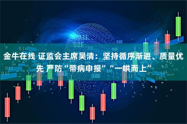 金牛在线 证监会主席吴清：坚持循序渐进、质量优先 严防“带病申报”“一哄而上”