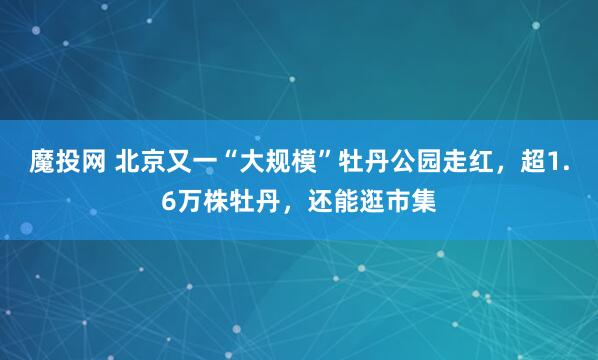 魔投网 北京又一“大规模”牡丹公园走红，超1.6万株牡丹，还能逛市集