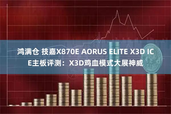 鸿满仓 技嘉X870E AORUS ELITE X3D ICE主板评测：X3D鸡血模式大展神威