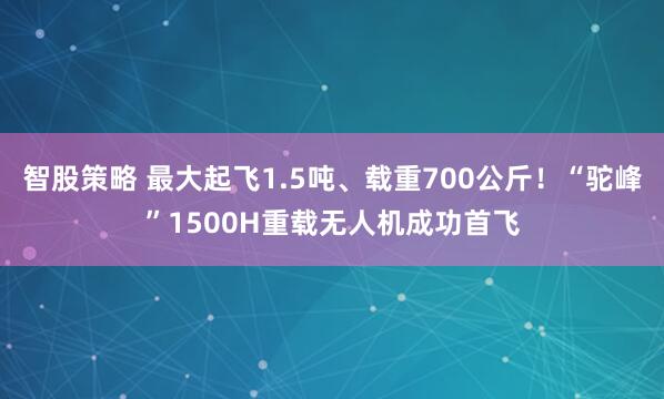 智股策略 最大起飞1.5吨、载重700公斤！“驼峰”1500H重载无人机成功首飞