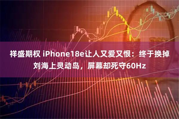 祥盛期权 iPhone18e让人又爱又恨：终于换掉刘海上灵动岛，屏幕却死守60Hz