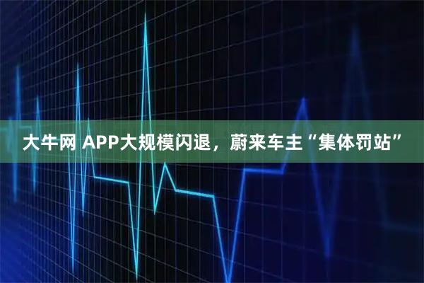 大牛网 APP大规模闪退，蔚来车主“集体罚站”