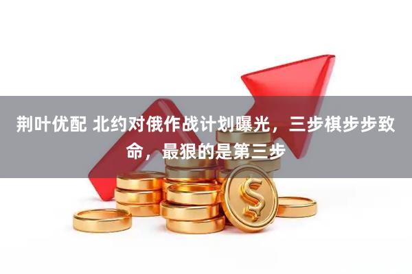 荆叶优配 北约对俄作战计划曝光，三步棋步步致命，最狠的是第三步