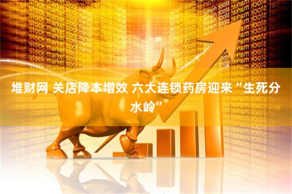 堆财网 关店降本增效 六大连锁药房迎来“生死分水岭”